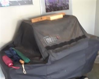 Weber grill with cover