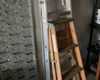 Werner and Wood Ladder
