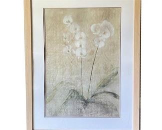 Lot 097
Decorator Orchid Framed Print