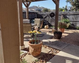 Clay pots and plants