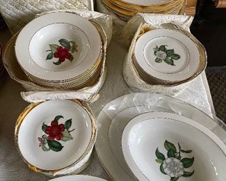 #57___$495
Heinrich Camellia Japonica Pomponia Set of China John Wanamaker
12 dinner plates
12 square plates
12 round soup bowls
12 B&B plates
12 saucers No cups 
1 veggie oval bowl
1 oval relish 
1 oval meat platter
Total 63 pieces 