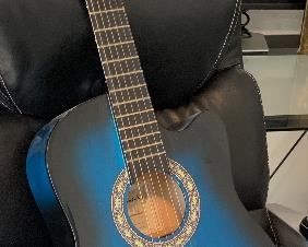 Playmate Guitar