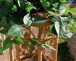 Silk Plants, Wicker Table