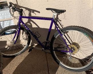 Bachman Rocky Mountain Express Bike