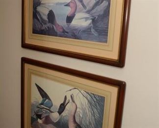 framed duck prnts