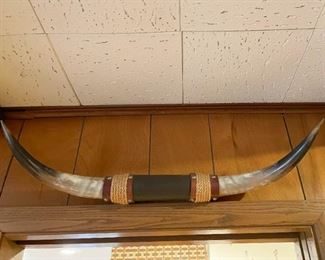 Mounted Steer Horns