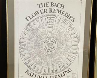 Framed Natural Healing Poster - The Bach Flower Remedies
