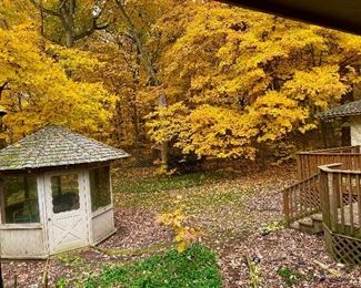 This was the backyard of the home - I took a photo before the rains came just so you can see the magnificence of the trees in the yard; it really was magical. This home will repaired to sell, with a 1.25 acre lot that backs to Seeger Park and Woods.