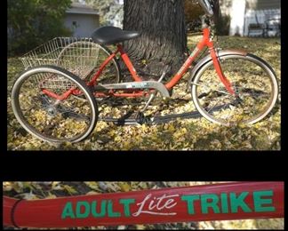 Adult Lite Trike. Three-wheeled bicycle with basket.