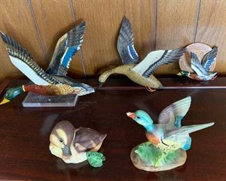 Duck Collection