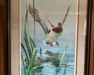 Framed and Numbered Duck Prints