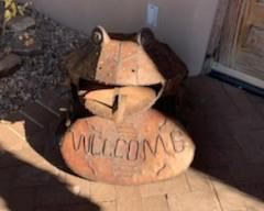 'Welcome' garden frog