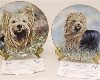 35 - Pair of Paul Doyle Plates "Windswept" "Daisy"
