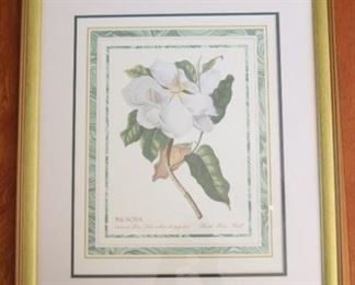 
43x - "Magnolia" framed print 28 x 23 1/2