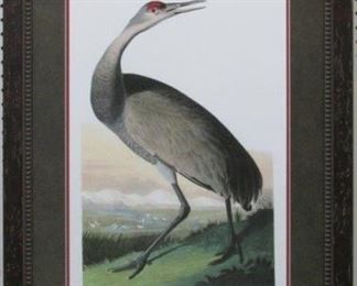 9002 - Hooping Crane Young by John J. Audubon 24.5 x 21
