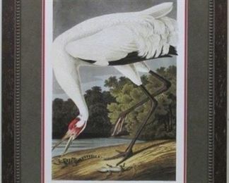 9003 - Hooping Crane Adult by John J. Audubon 24.5 x 21
