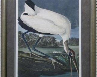 9004 - Wood Ibis by John J. Audubon 29 x 38
