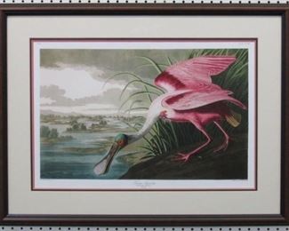 9005 - Roseate Spoonbill by John J. Audubon 31 x 23.5
