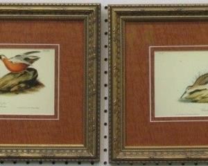 9026 - 2X Antique Birds by John J. Audubon 16.5 x 12
