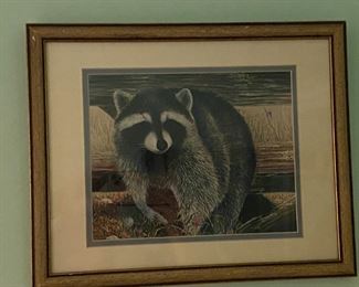 Raccoon print