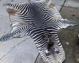 Authentic Zebra Skin Rug