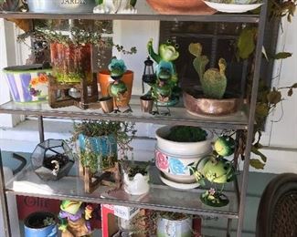 Live plants - glass and metal bookcases 