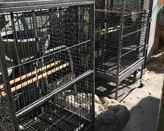 Tons of large birdcages 