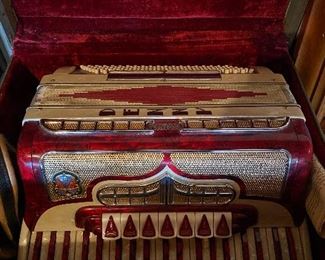 Accordion with case