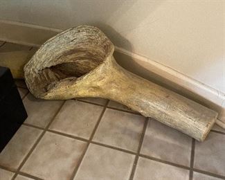 Very cool large fossil!!!