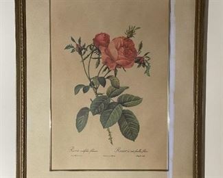 BOMBAY Framed Wall Art