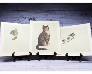 Lot of Vintage Collectible Ohio Railway Chessie Peake Cat Art Prints