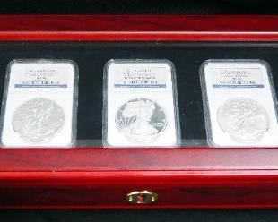 2011 American Eagle 25th Anniversary Set, Includes 5 1 oz Silver Coins, Mint Marks Include W, P, And S, Certified By NGC, See Description For Gradings