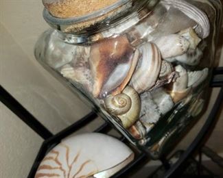 Lots of shells....