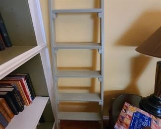 Library ladder 
