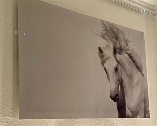 Item 57:  White Horse Photograph on Aluminum - 40" x 60":  $125