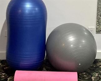 Item 189:  Lot of Assorted Exercise Balls & Pink Foam Roller:  $16