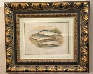 Item 193:  "Young Trout, Salmon Park, Smelt" Print - 23" x 19.5":  $165