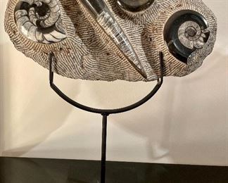 Item 47:  Oversized Polished Fossil on Stand - 18" x 20":  $425