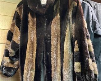 Item 219:  Jay Lennad Fur: $225