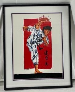 Karate Themed Framed Print by Terry Rose
