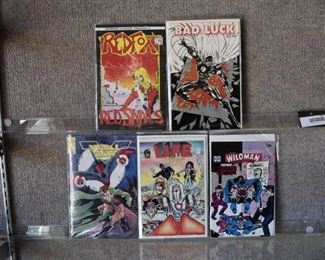 Lot of 5 Independent Comics | RedFox #4, Wildman #7, Life Brigade #2, The Vital Man #4, Bad Luck