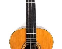 Vintage Guitar