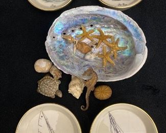 244 Delano Studios Sailboat Coasters Shells