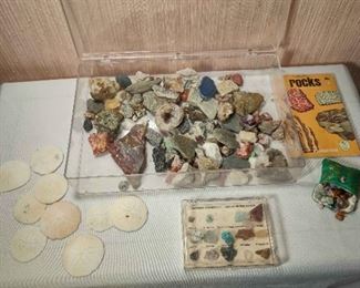 Rock Collector Lot