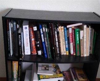 Books and Shelf