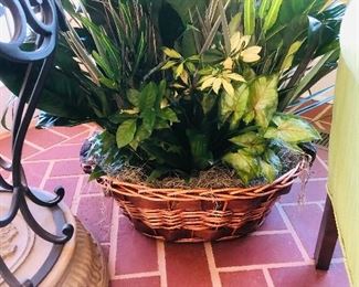 Live mixed green plants in a basket