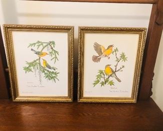 Framed prints