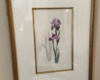 Watercolor of Iris, measures 7"x10", framed 14"x20" $50