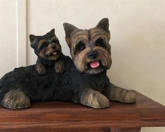 Yorkie