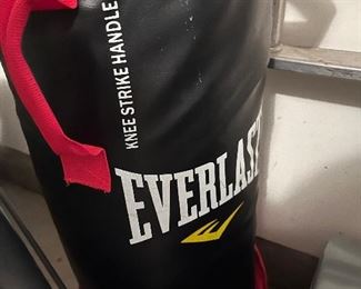 Everlast hanging boxing bag
